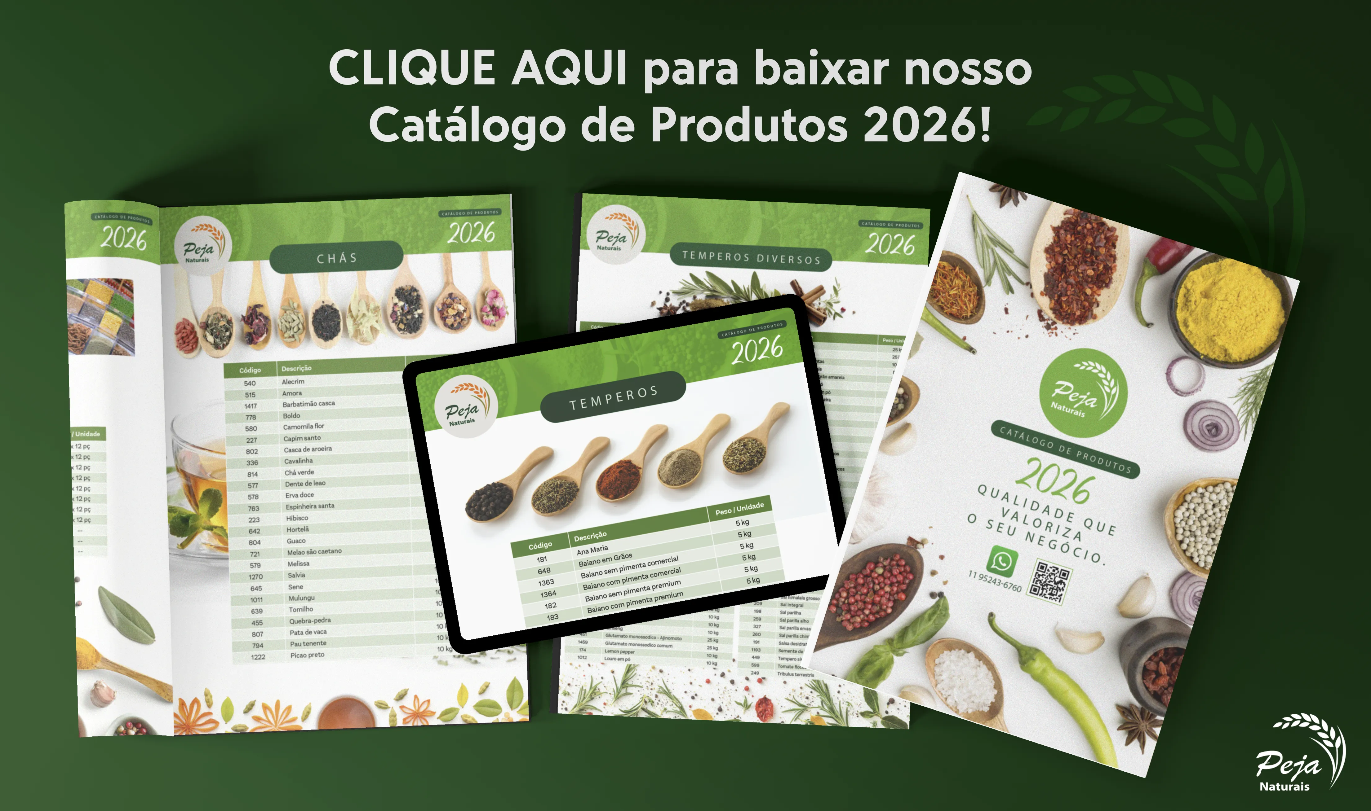 Catálogo